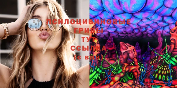 кокаин колумбия Инсар