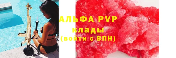 индика Инта