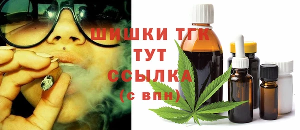 индика Инта