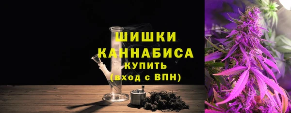 индика Инта