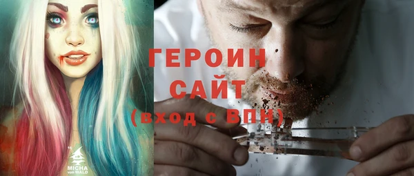 индика Инта