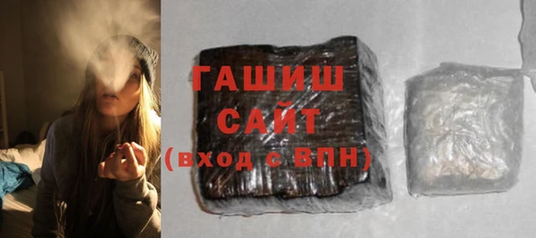 индика Инта