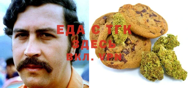 индика Инта