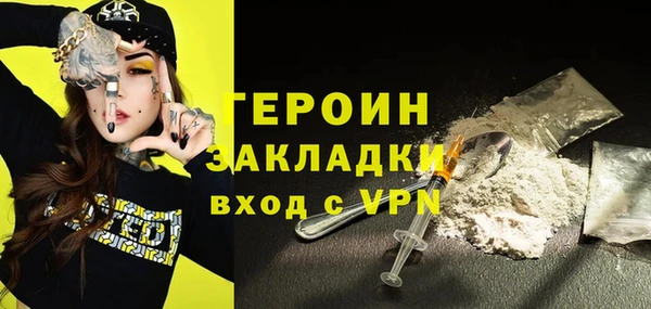 индика Инта