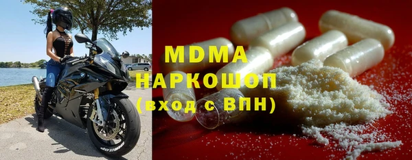 индика Инта
