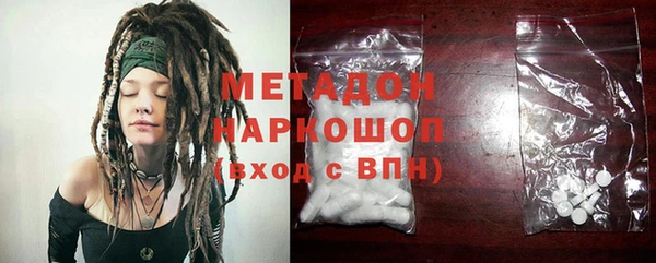 индика Инта
