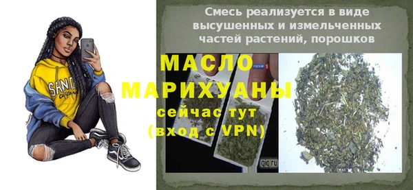 индика Инта