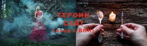 индика Инта