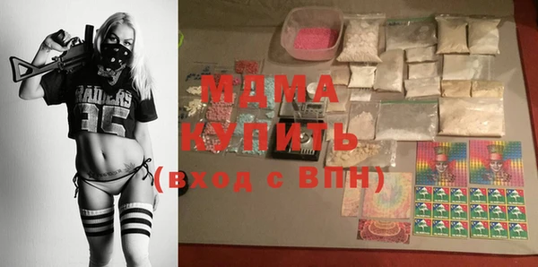 индика Инта