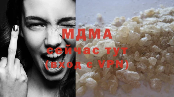 индика Инта