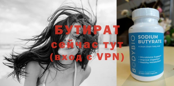 индика Инта