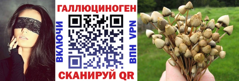 Купить где  Велиж  Галлюциногенные грибы мицелий 